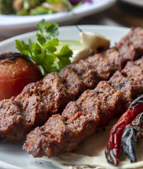 Tehran Kebab Main Course